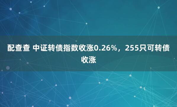 配查查 中证转债指数收涨0.26%，255只可转债收涨
