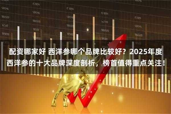 配资哪家好 西洋参哪个品牌比较好？2025年度西洋参的十大品牌深度剖析，榜首值得重点关注！
